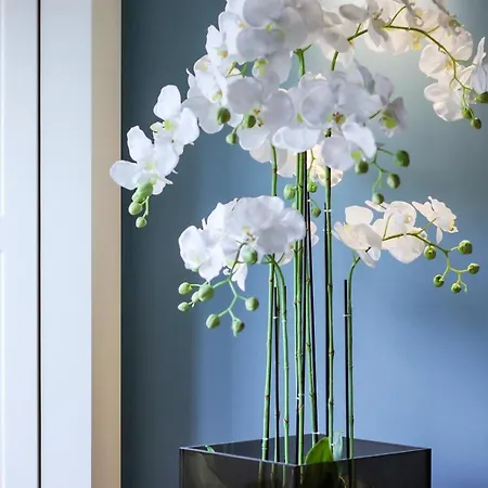 Hm - Infante Riverside B Lejlighed *