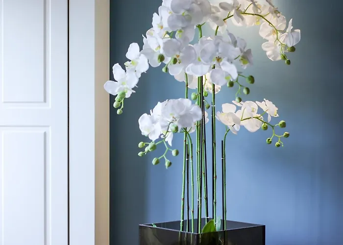 Hm - Infante Riverside B شقة *